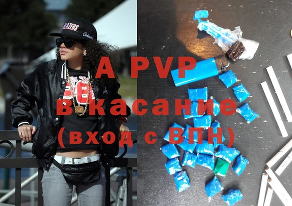 шишки Баксан