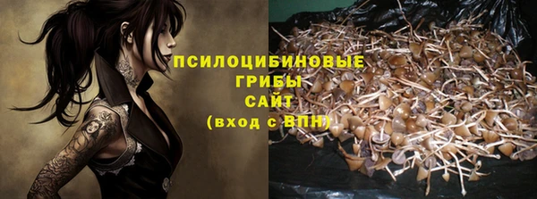 шишки Баксан