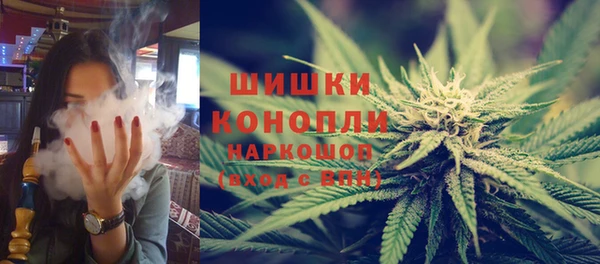 индика Семилуки