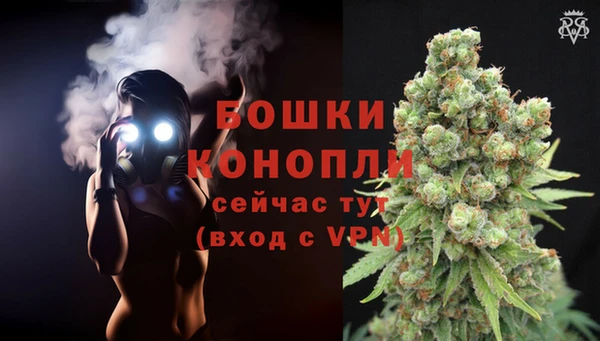 ГАЛЛЮЦИНОГЕННЫЕ ГРИБЫ Семикаракорск