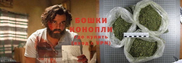 шишки Баксан