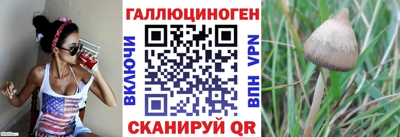 мега ССЫЛКА  Коммунар  Галлюциногенные грибы Psilocybe  где купить наркоту 