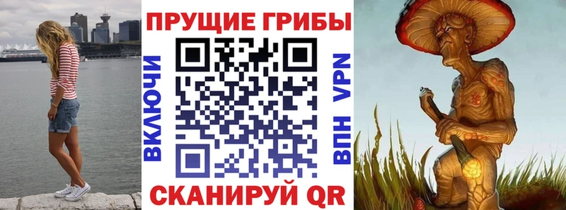 Псилоцибиновые грибы мицелий Коммунар